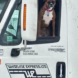 Meet your Posher, Dwayne